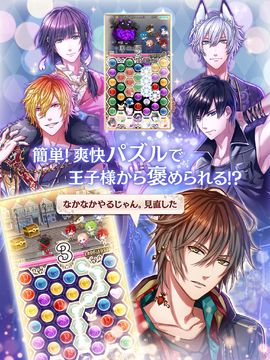 夢王国と眠れる100人の王子様 Game Screenshot