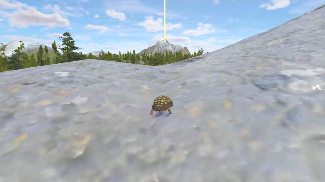 Rabbit and Turtle screenshot game