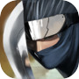 Ninja Revenge