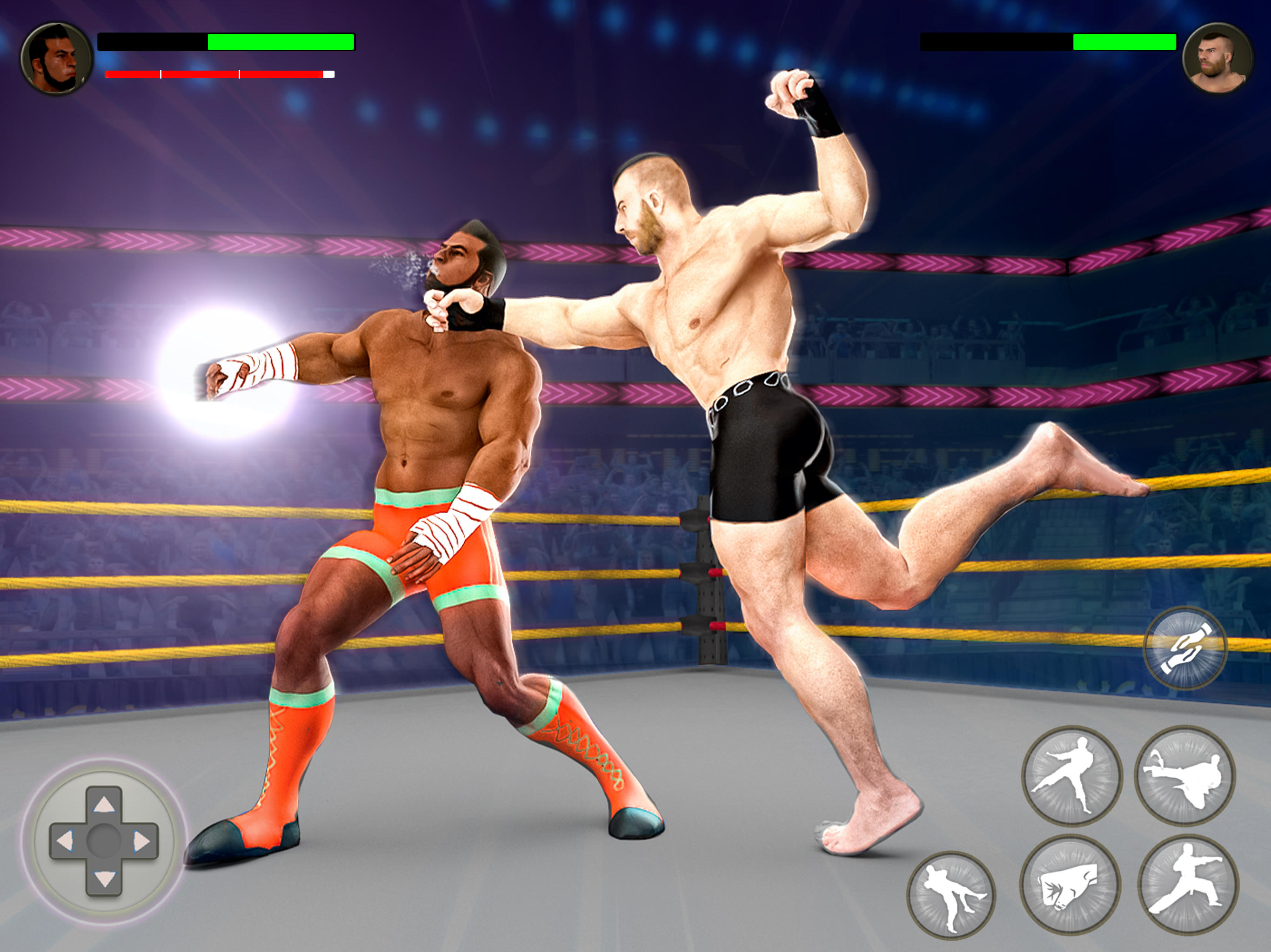 PRO Wrestling Fighting Game ภาพหน้าจอเกม