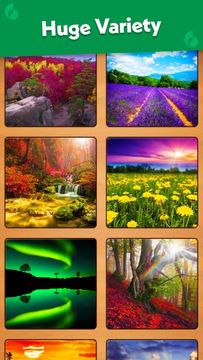 Jigsaw Puzzle Pro Game Screenshot