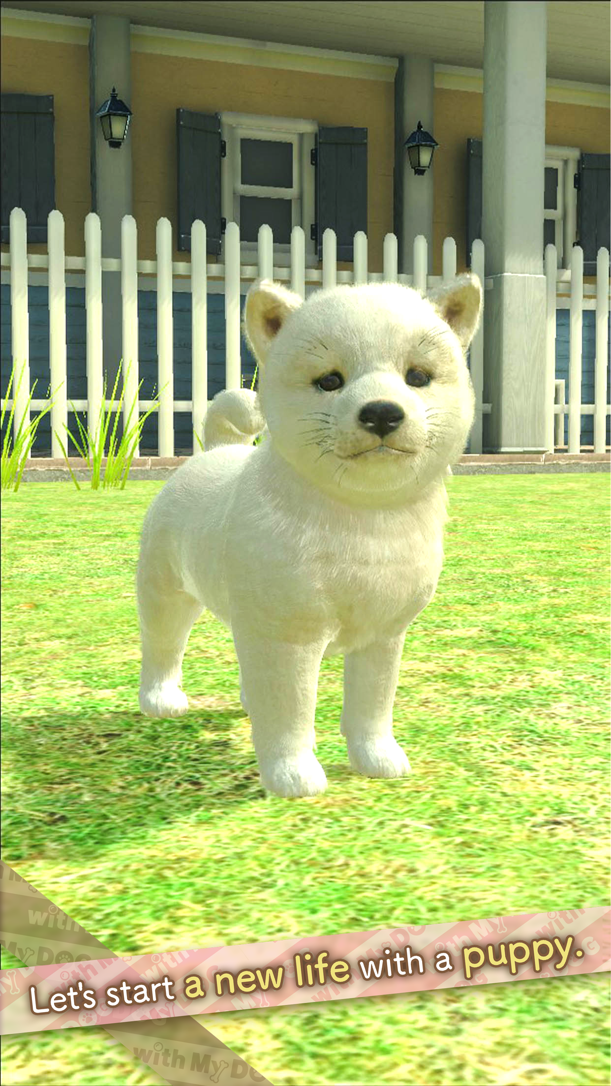 Screenshot of with My DOG