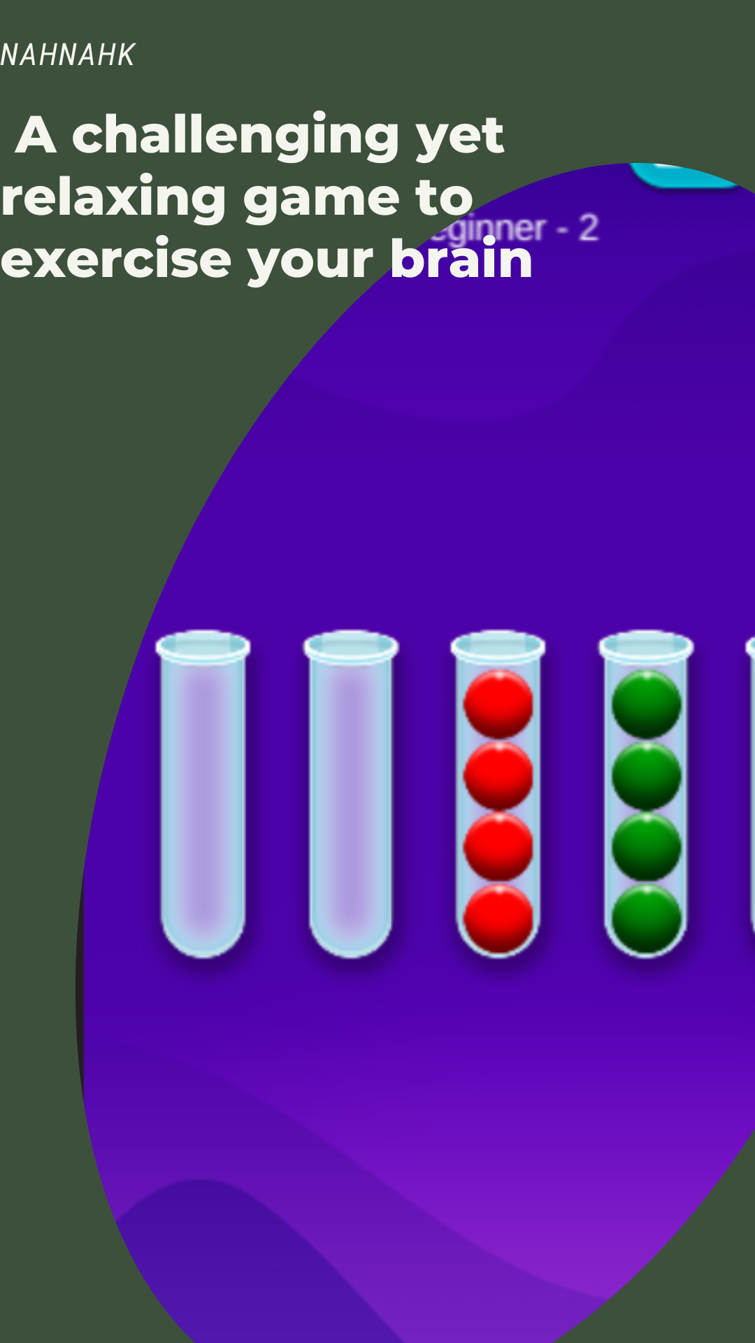 Sort Bubbles Puzzle Game Screenshot