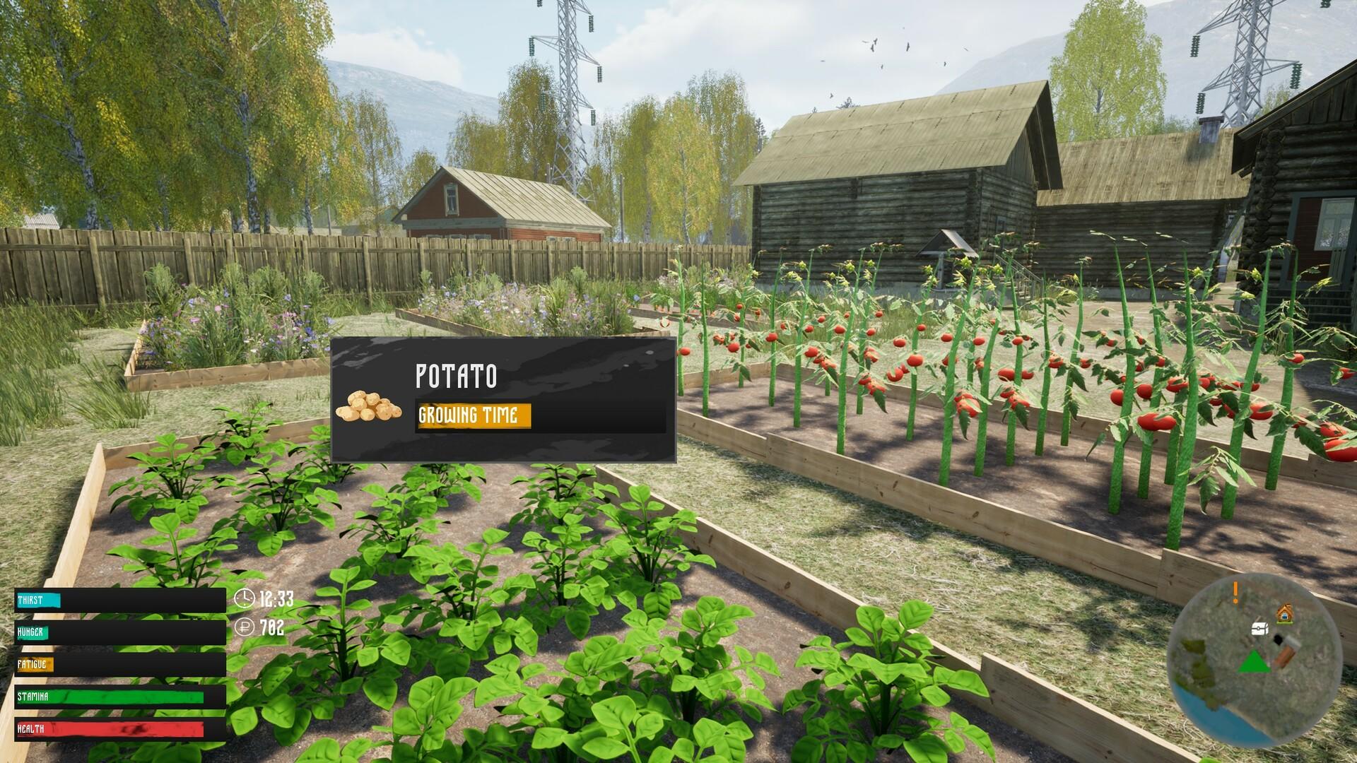 Russian Village Simulator ภาพหน้าจอเกม