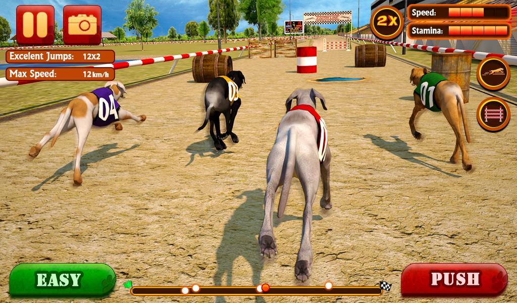 Dog Race & Stunts 2016 Game Screenshot