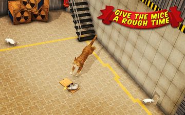 Cuplikan Layar Game Angry Cat Vs. Mouse 2016