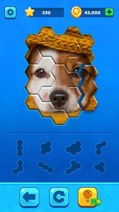 Screenshot 1 of Hexa Jigsaw Puzzle ® 