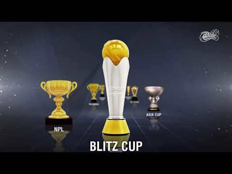 Screenshot of the video of World Cricket Championship 3