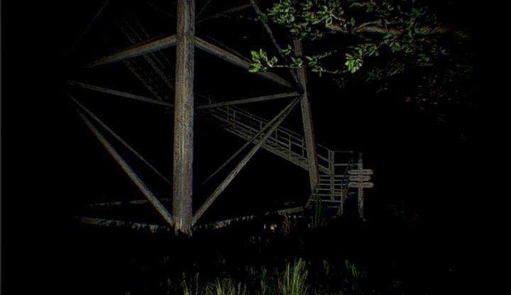 The Woods ภาพหน้าจอเกม