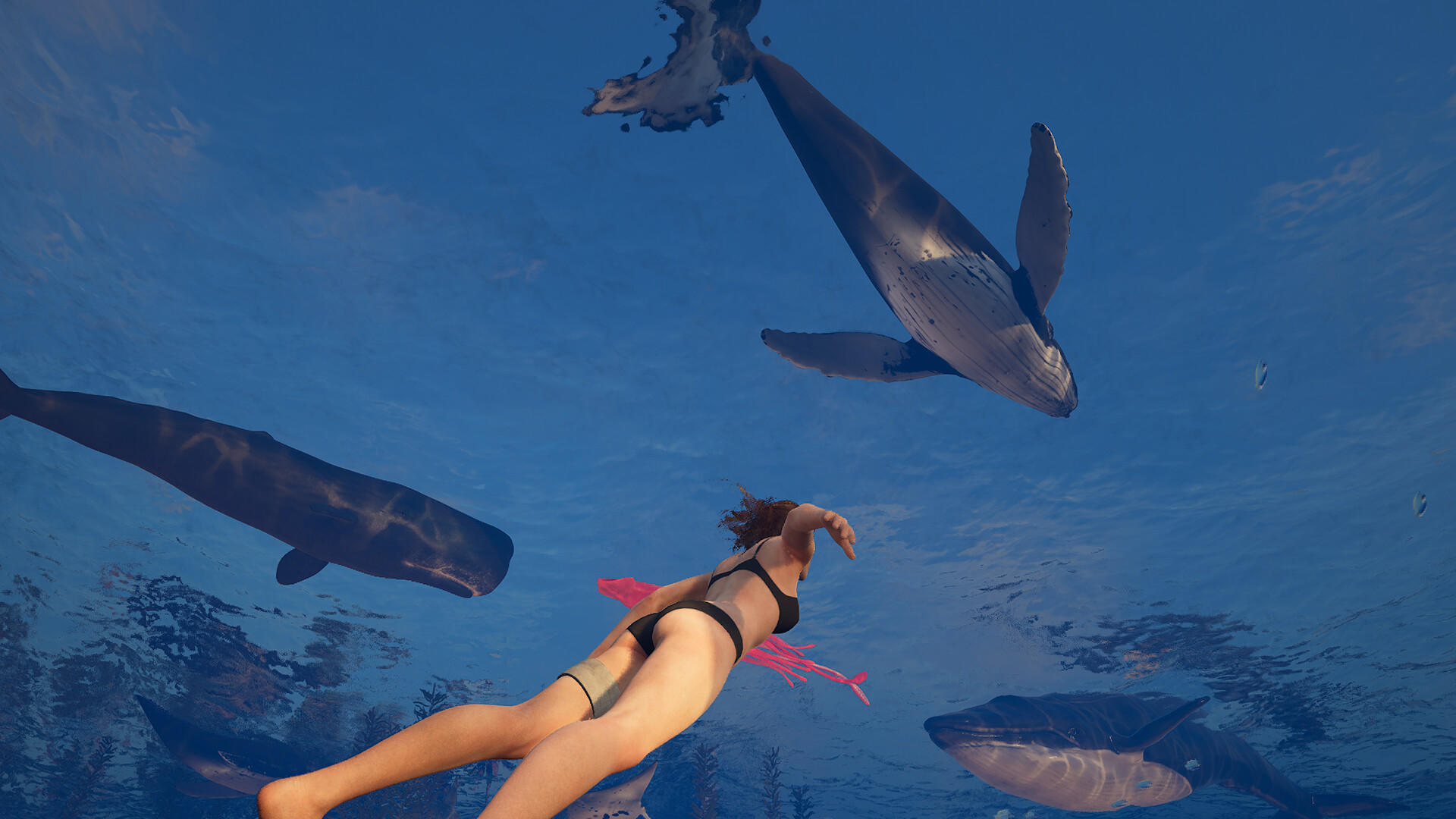 Eden Island Game Screenshot