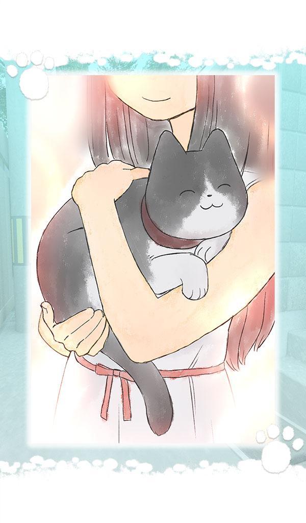 Escape game : Lost Cat Story Game Screenshot