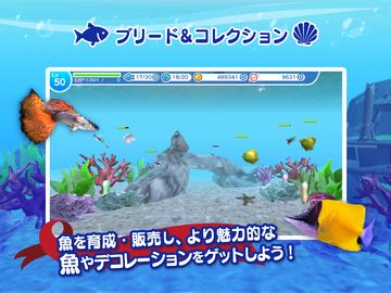 まったり癒し系無料アプリ - MyAquarium3D - Game Screenshot