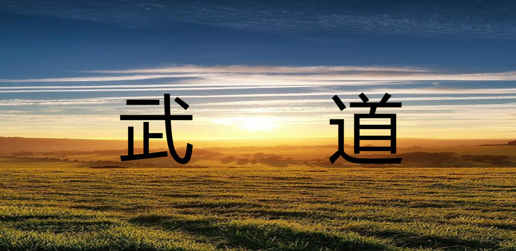 Banner of 武術MUD 1.0