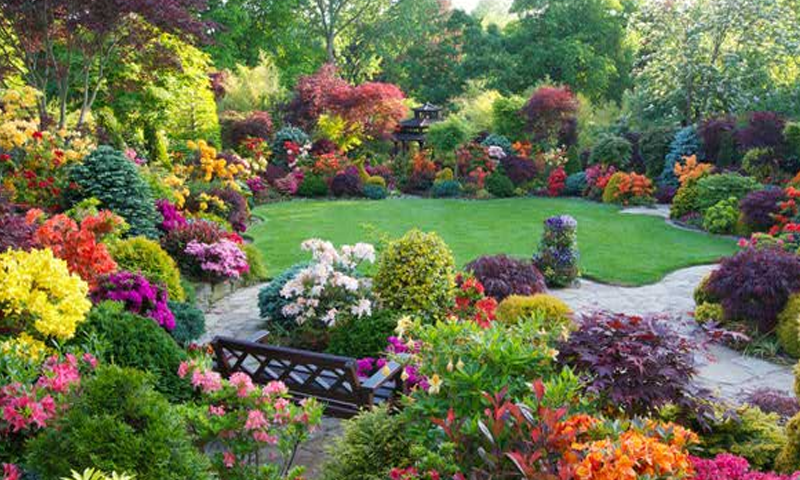 Astonishing Garden Escape Game Screenshot