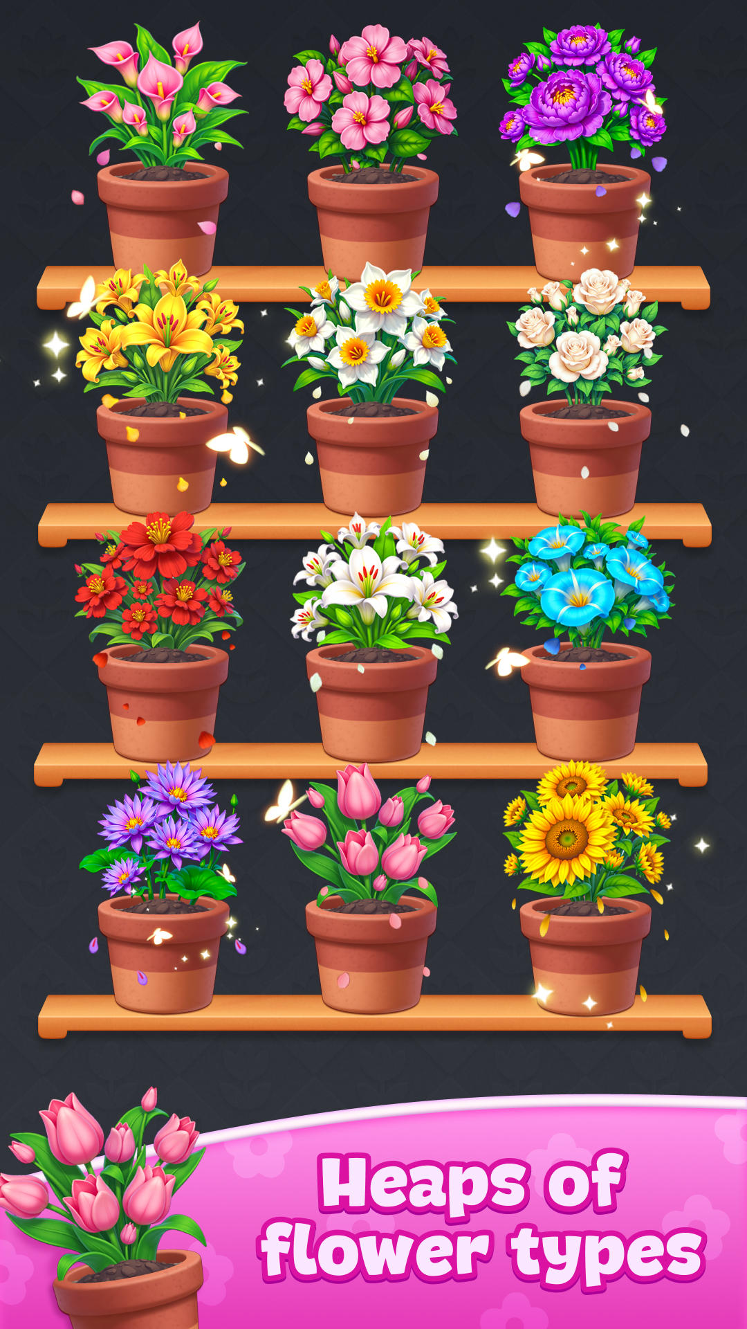 Flower Group Game Screenshot