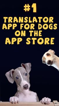 Dog Translator: Game For Dogs Game Screenshot