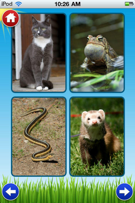 Animal Sounds - Zoo, Pet and Farm Sounds Game Screenshot