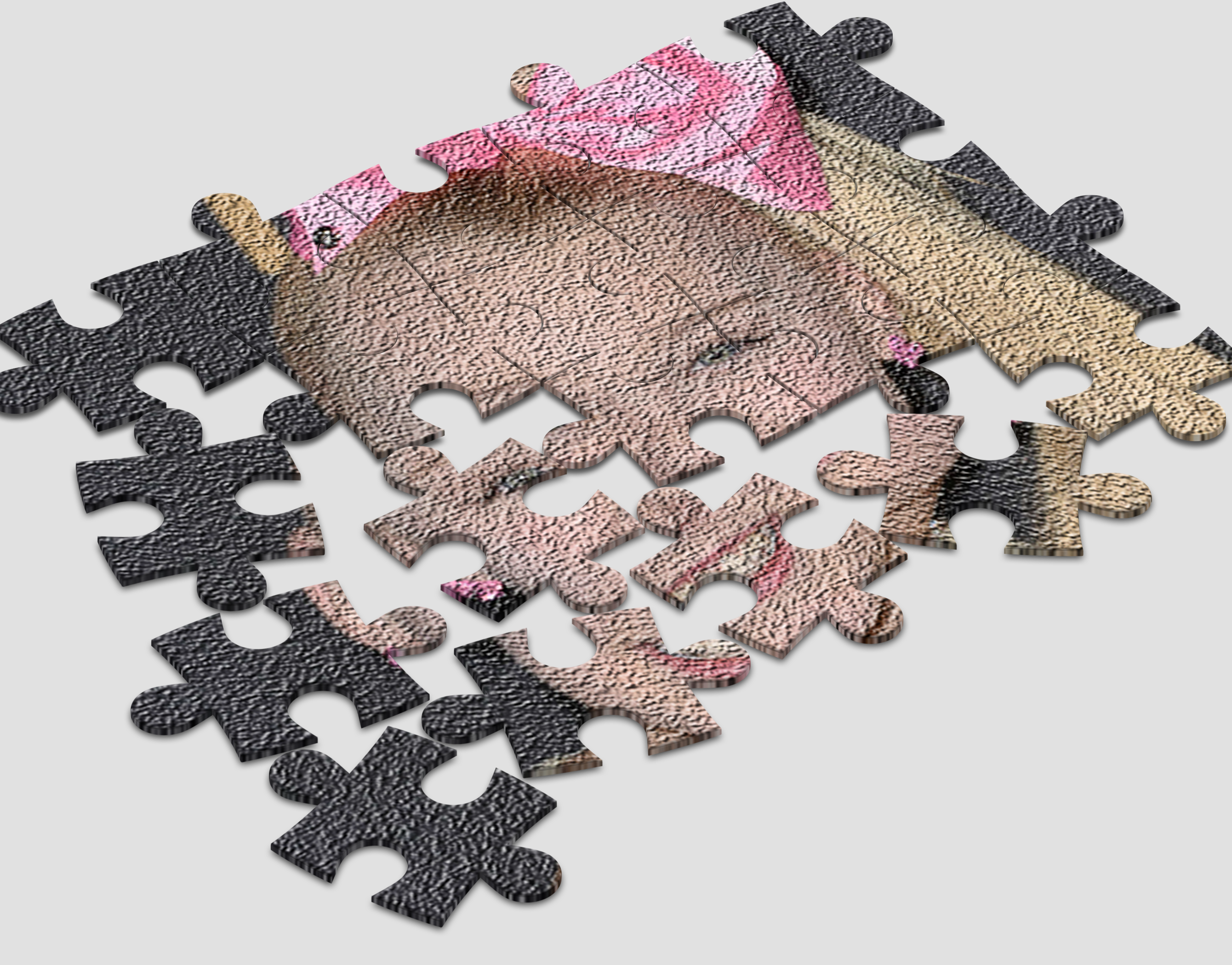 Jigsaw Puzzle for Jojo Siwa ภาพหน้าจอเกม