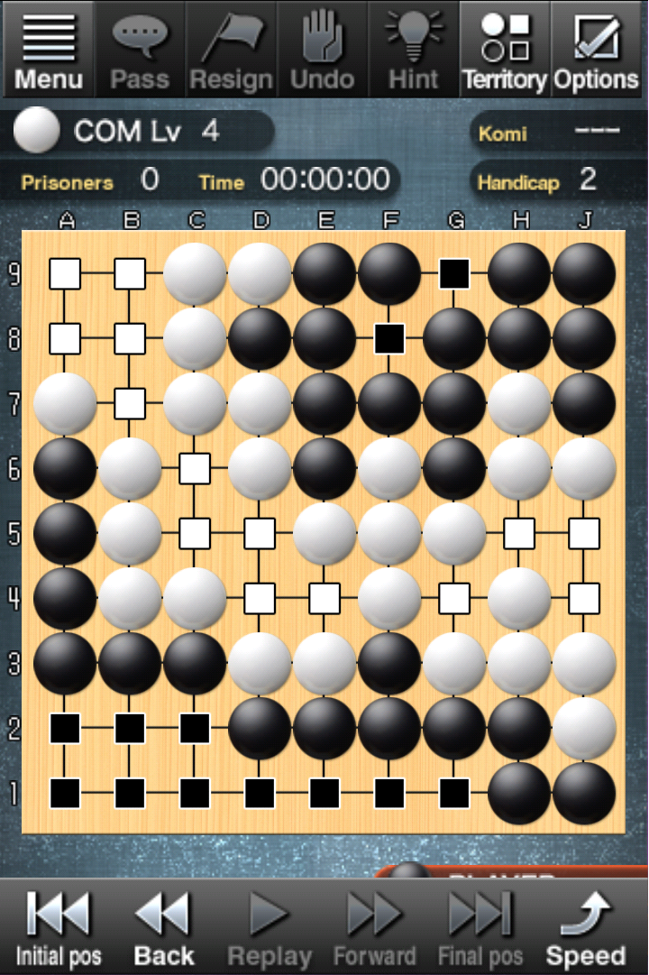 Champion Go ～Crazy Stone～ Game Screenshot