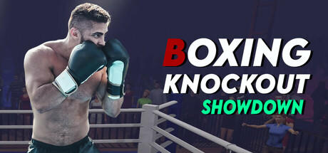 Banner of Boxing Knockout Showdown 