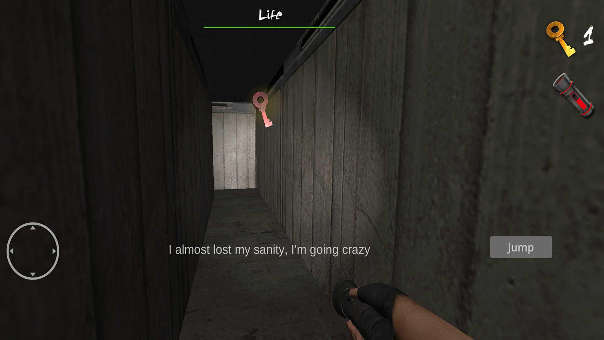 The Maze of panic Game Screenshot