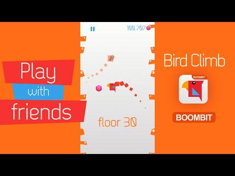Screenshot of the video of Bird Climb