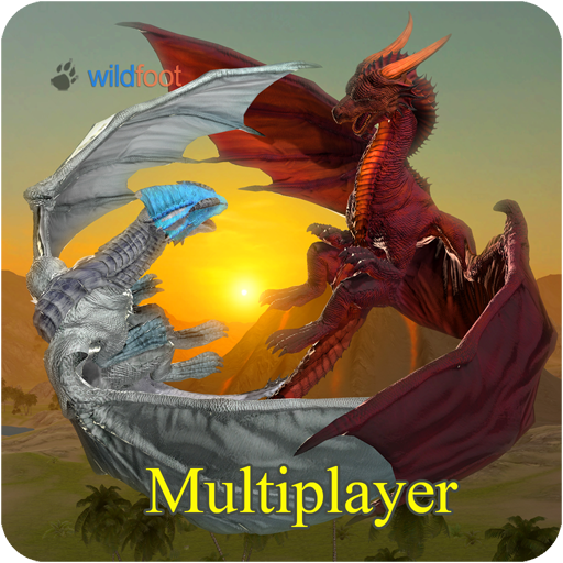 Dragon Multiplayer 3D