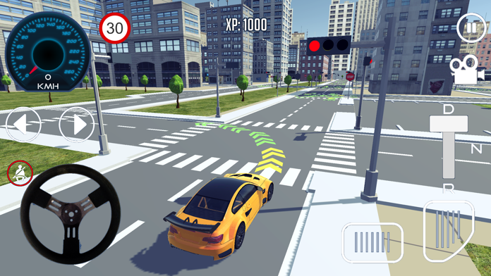 Driving School Simulator 2020 게임 스크린 샷