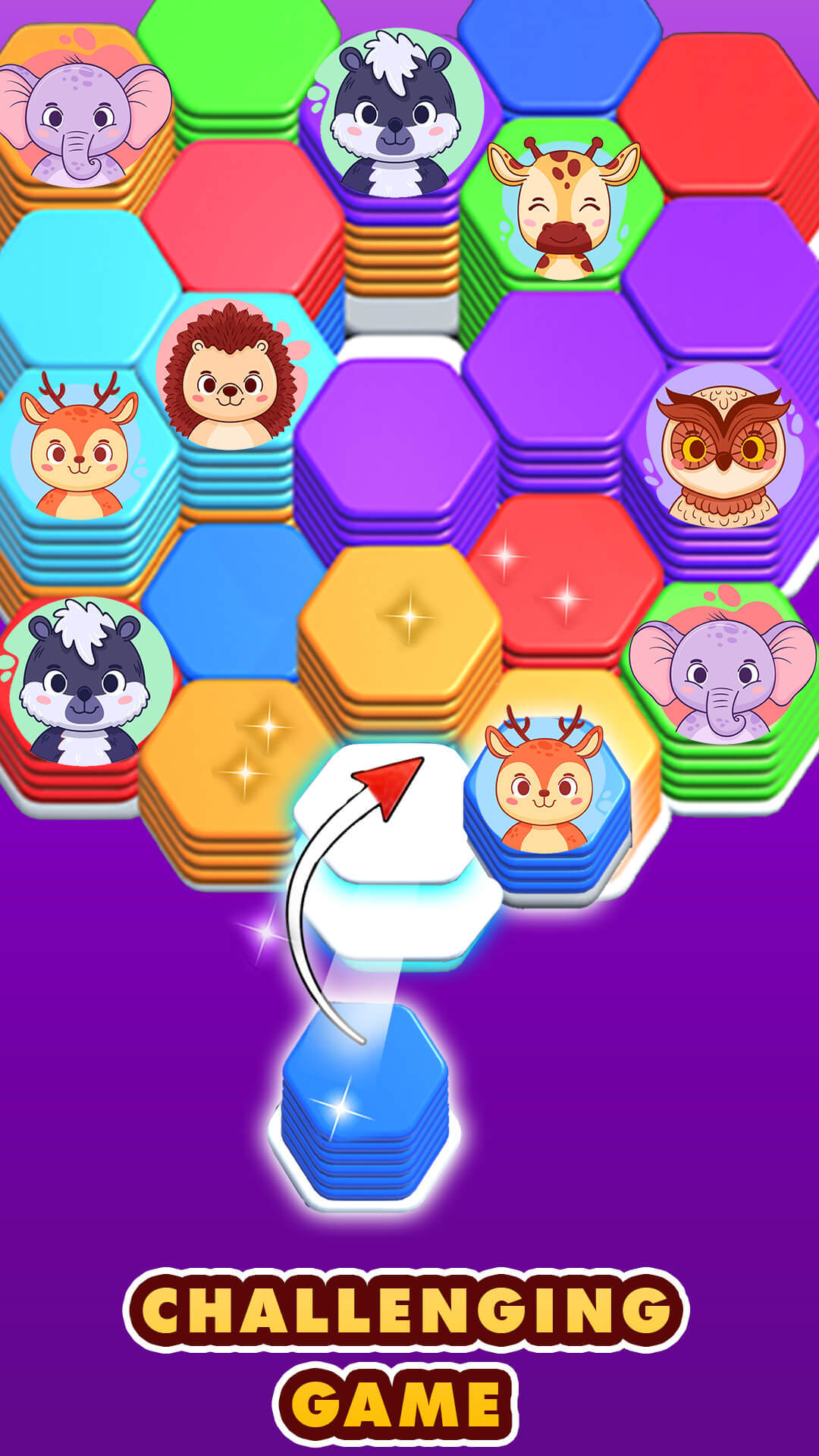 Hexa Color Match Sorting Games Game Screenshot