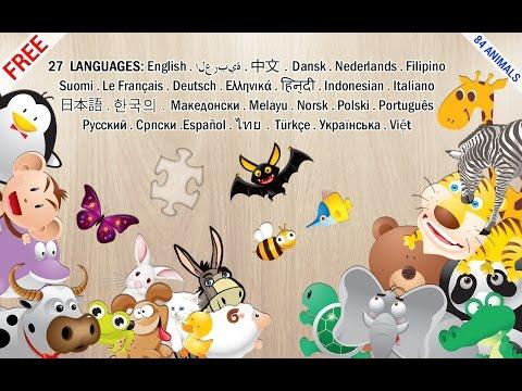 Captura de Tela do Vídeo de Puzzles animais para crianças