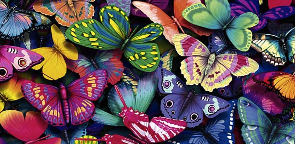 Banner of Butterfly Jigsaw Puzzles 