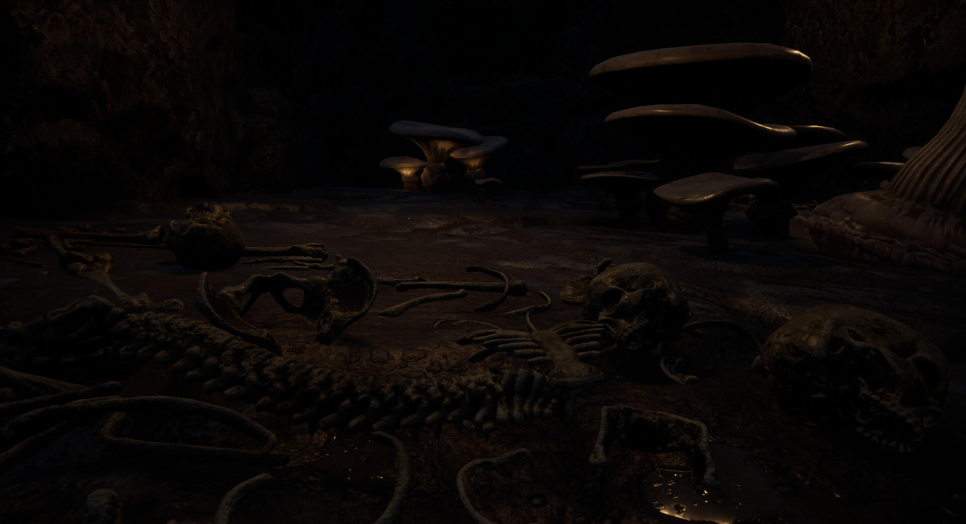 Forest Of Fear screenshot game