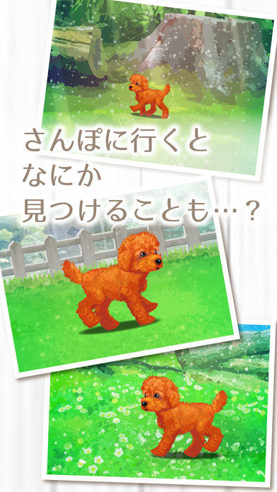 My Dog Life -Toy Poodle Edition- Game Screenshot