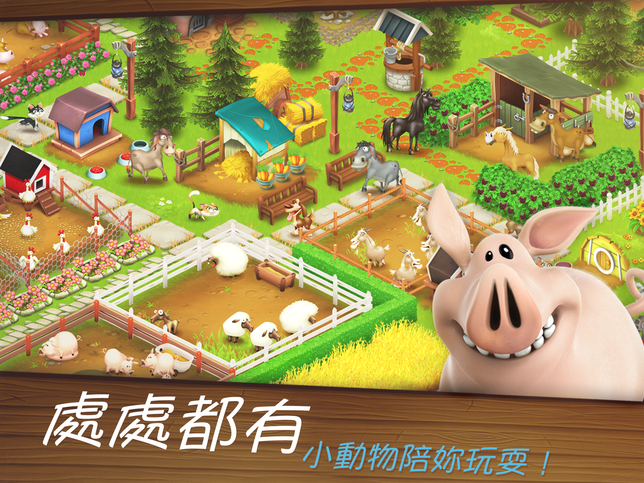 卡通農場 Hay Day 遊戲截圖