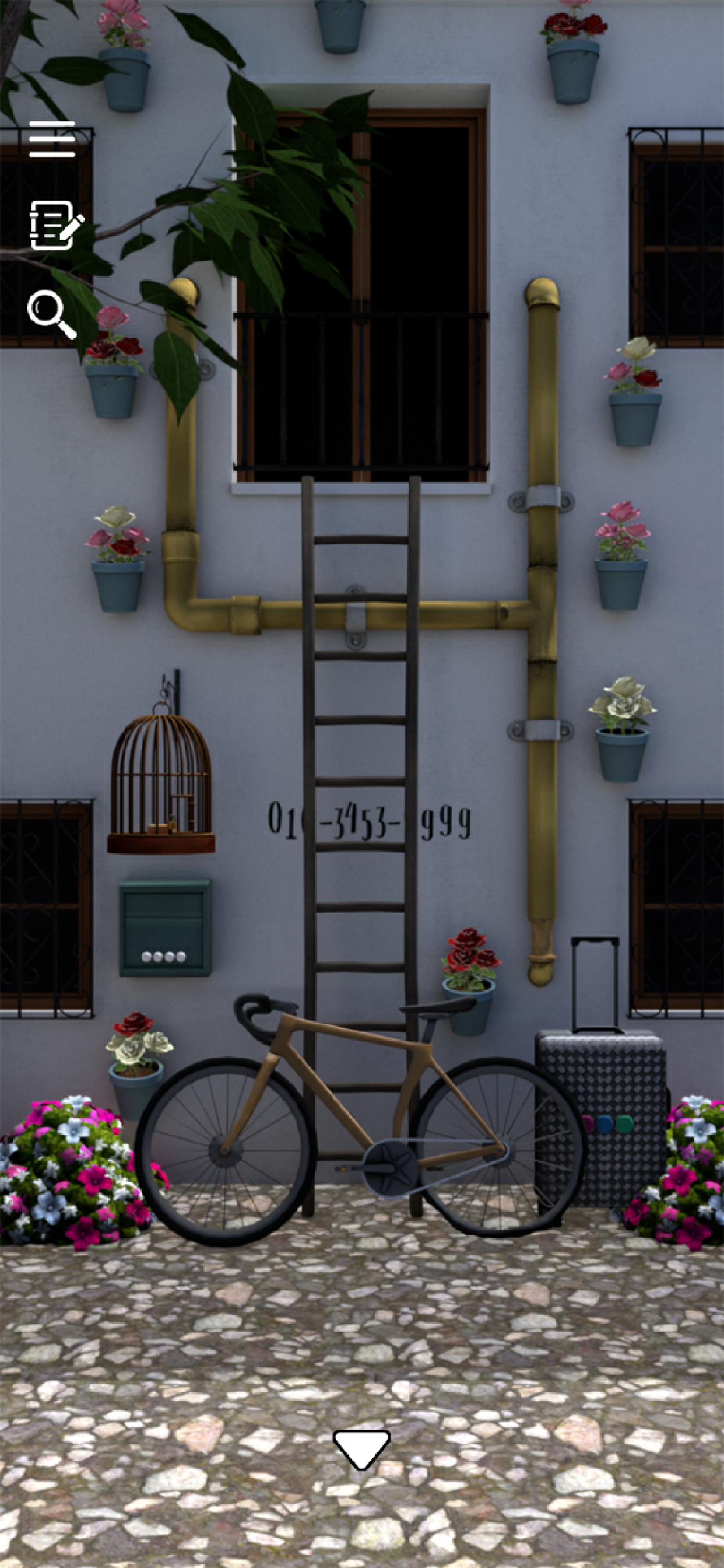 Escape Game: Patio Game Screenshot