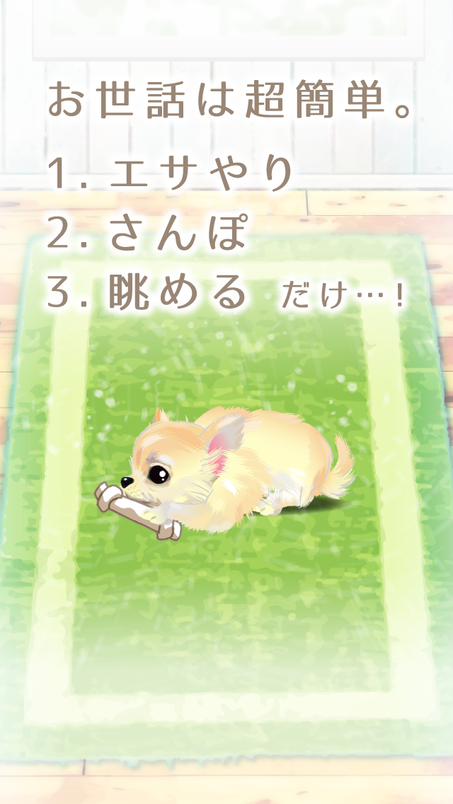 癒しの子犬育成ゲーム〜チワワ編〜のキャプチャ