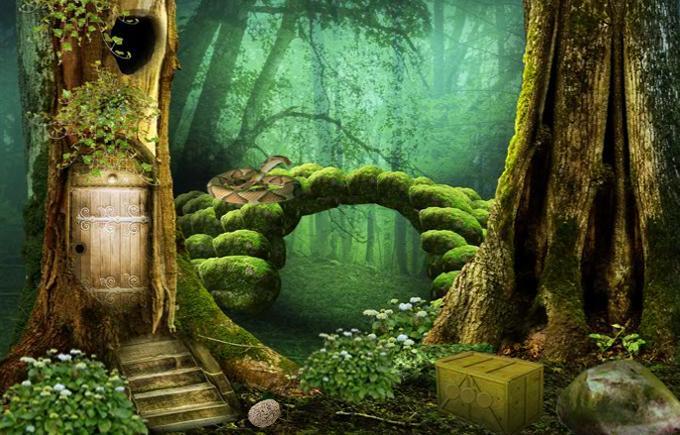 Escape Game Studio - Mysterious Forest ภาพหน้าจอเกม