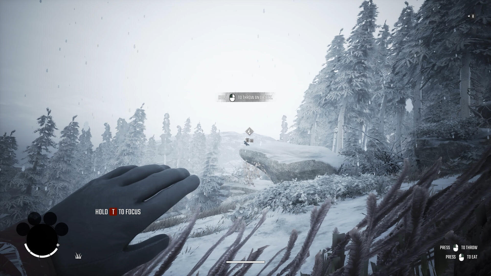 Screenshot of Winter Survival: Prologue