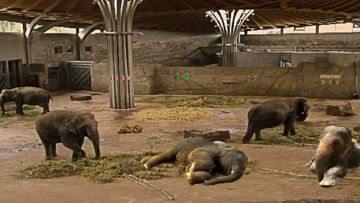 Cuplikan Layar Game Escape Games Day-370