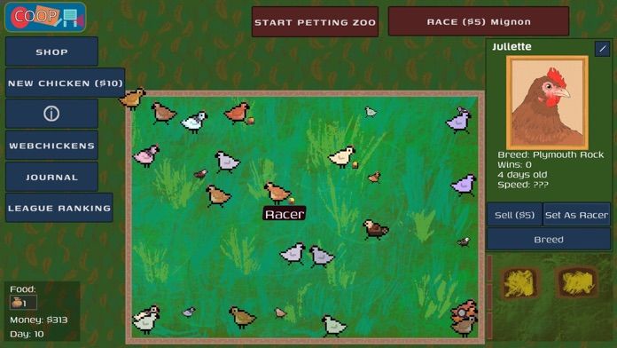 Miss Chicken Racing Mignon: Chicken Racing League for Android/iOS - TapTap