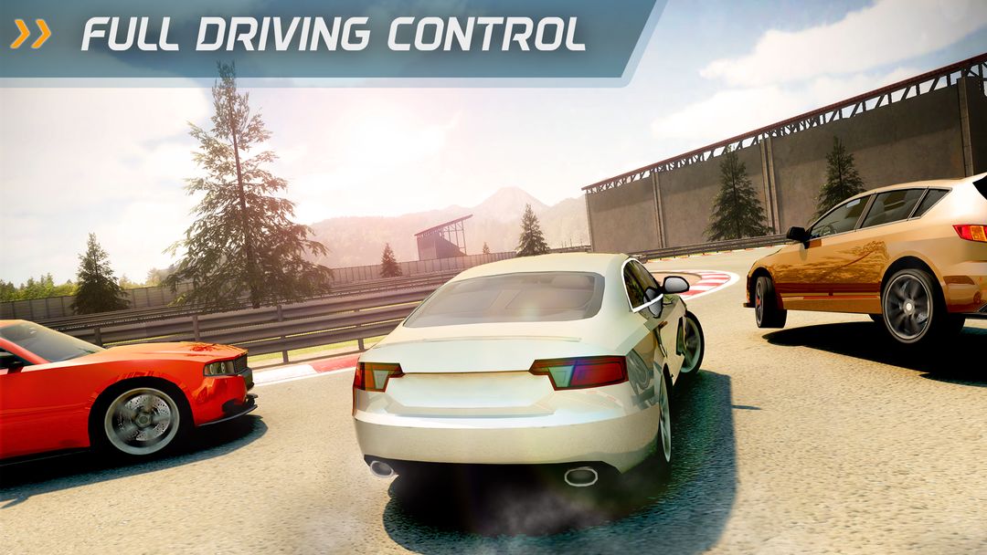 Racing Driver screenshot game