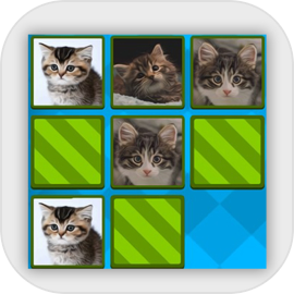 Two Of A Kind Memory Game