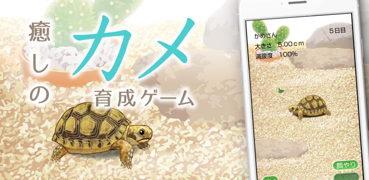 Banner of Healing turtle breeding game 1.3