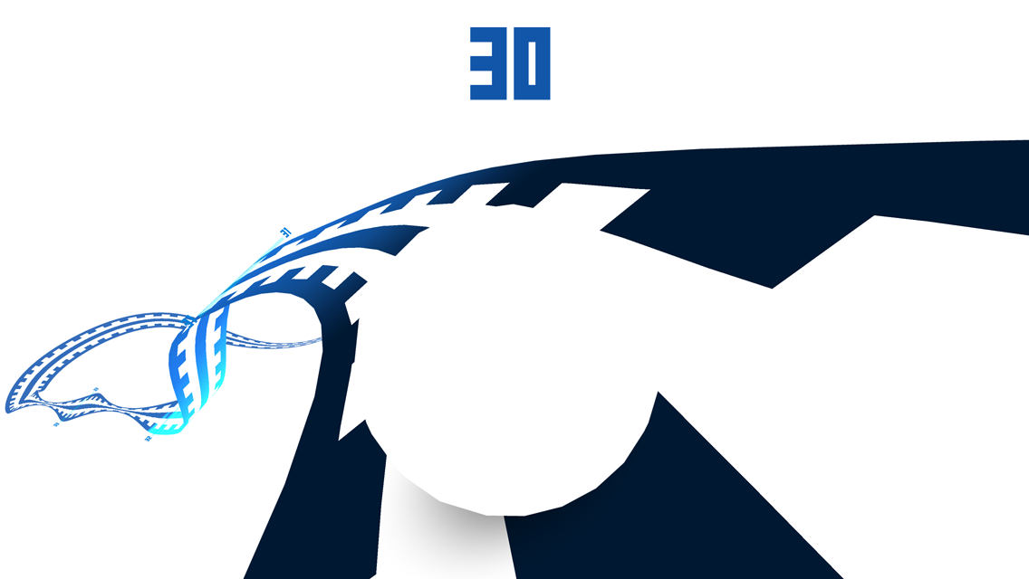 Screenshot of IMPOSSIBLE ROAD