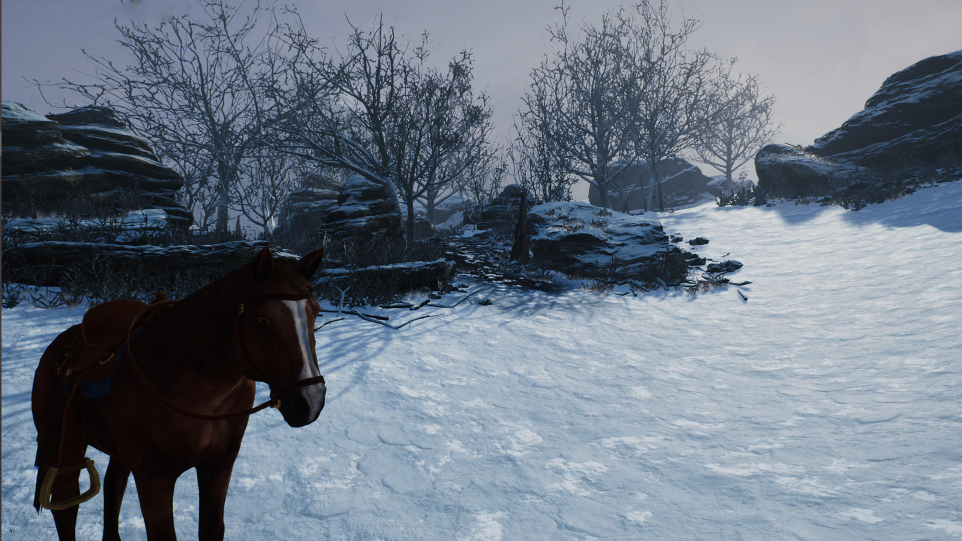 Screenshot of Steel Ball Race