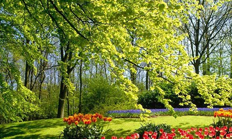 Hued Garden Escape 遊戲截圖