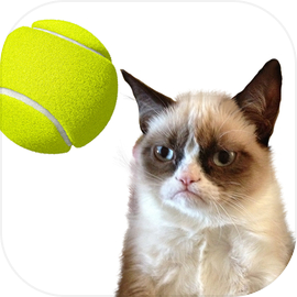 Cat Tennis: Battle Meme