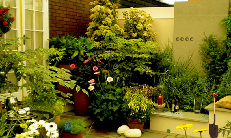 Charming Lawn Escape Game Screenshot