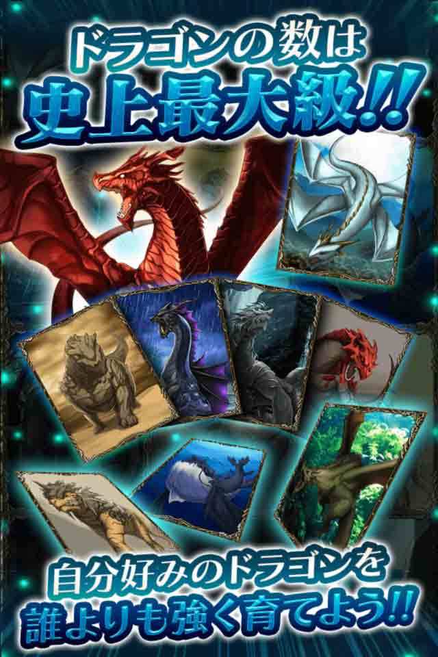 ドラゴンオーダー screenshot game