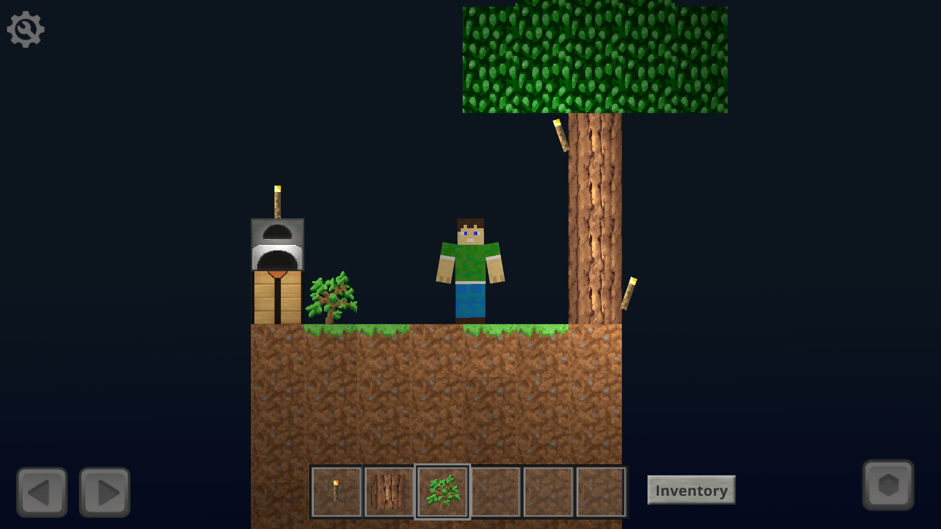 SkyLand Game Screenshot